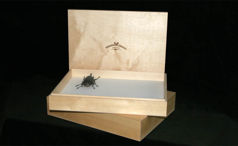 Wooden insect box - 30 x 40 x 7,5 cm